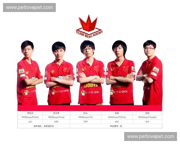 直击英雄联盟顶级联赛全程直播见证巅峰战队荣耀时刻 直击英雄联盟顶级联赛全程直播见证巅峰战队荣耀时刻