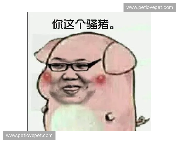 骚猪LOL名场面全回顾爆笑操作与神级反应带你重温巅峰时刻