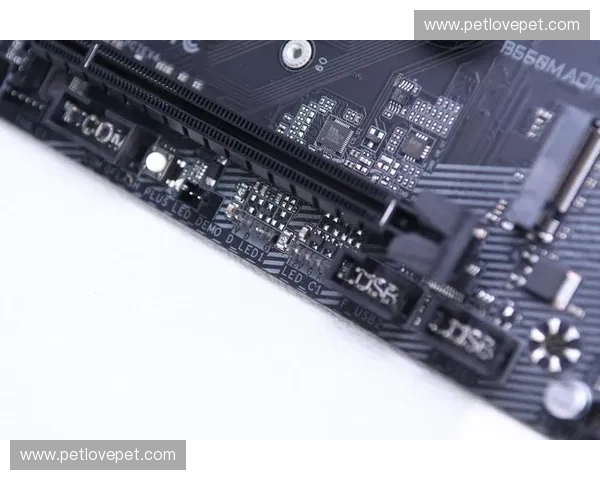 Dota2保密机制解析与策略运用探讨如何保护玩家信息与游戏数据安全 Dota2保密机制解析与策略运用探讨如何保护玩家信息与游戏数据安全