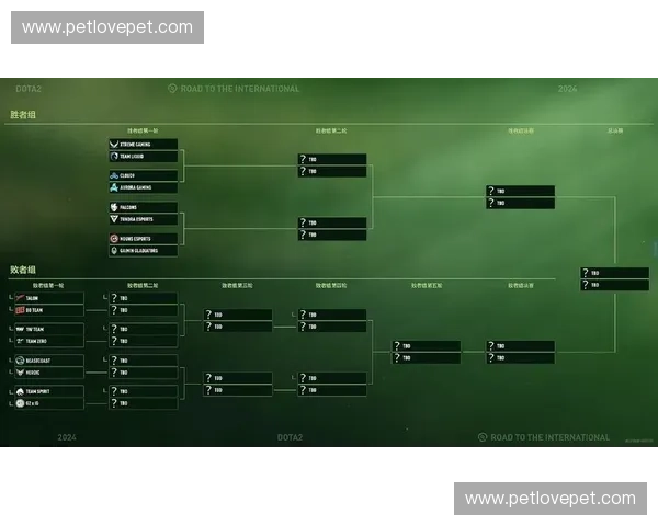 《如何提高Dota2账户实力提升技巧与常见问题解决方案》 《如何提高Dota2账户实力提升技巧与常见问题解决方案》