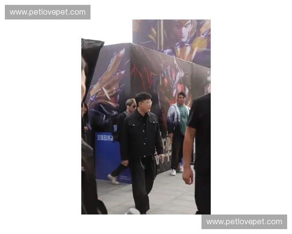 Uzi直播回归聚焦职业赛场引发粉丝狂欢电竞热度再度升温话题不断