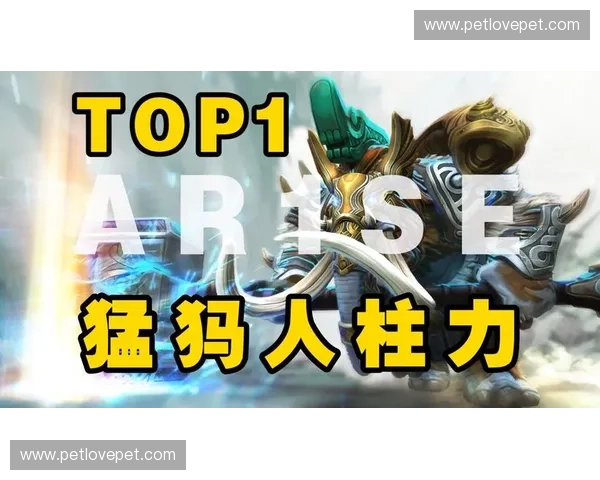 浅浅再掀DOTA2热潮 从路人王到职业赛场的逆袭之旅 浅浅再掀DOTA2热潮 从路人王到职业赛场的逆袭之旅