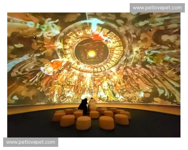 银河直播引领未来互动娱乐潮流 打造全新沉浸式社交体验平台