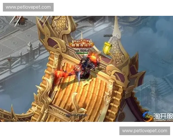 魂守双魂鏖战虚空幻界掌控生死重铸宿命荣耀之战