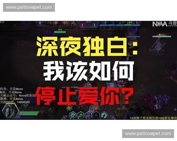 探讨为何风暴英雄玩起来总觉得没意思的深层原因与改进方向